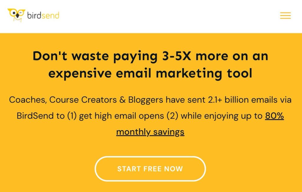 email marketing tool example - birdsend