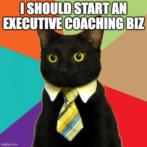 executive coaches have high earning potential