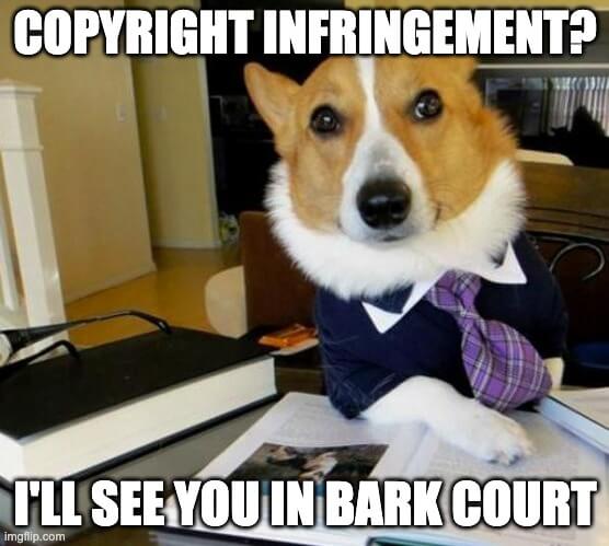 how to handle copyright infringement