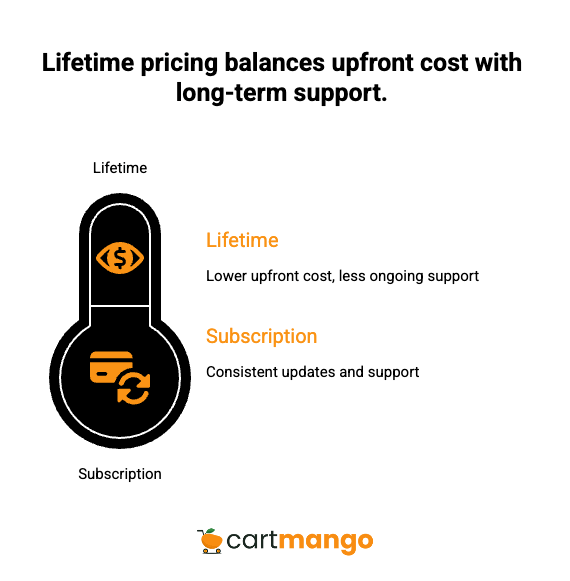 lifetime pricing vs subscription pricing